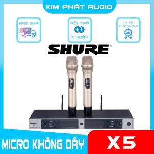 Micro karaoke shure X5