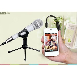 Micro karaoke Takstar PCM-5550