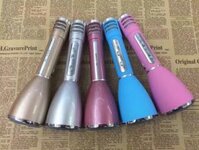 Micro kèm Loa Bluetooth K168