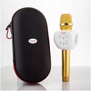 MICRO KÈM LOA ZBX-66