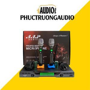 Micro không dây AAP K-88 II