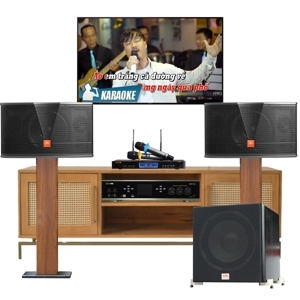 Micro không dây BIK BJ-U500