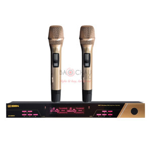 Micro không dây BIK BJ-U600