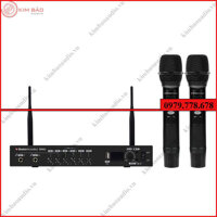 Micro Không Dây Boston Acoustics BAM2