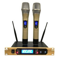 Micro không dây Botes Pro 300G+ - Mic karaoke gia đình, sân khấu