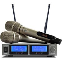 Micro không dây Musicwave HS 1700