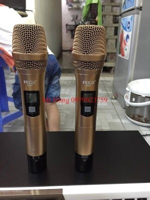 Micro không dây PDCJ 600F