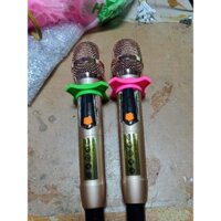 Micro loa kéo cao câp