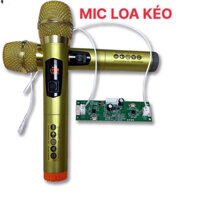 MICRO LOA KÉO KHÔNG DÂY NHỰA VÀNG