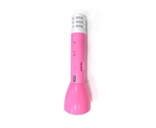 Micro loa KTV K088-2