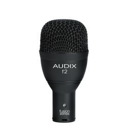 Micro nhạc cụ Audix F2