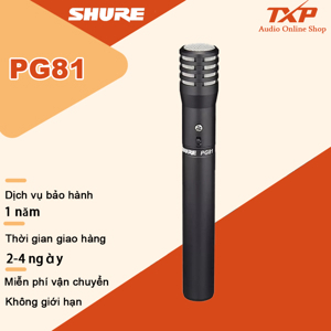 Micro nhạc cụ Shure PG81-XLR