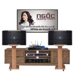 Micro sân khấu Alctron DK1000