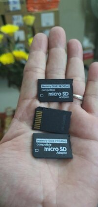 micro SD to Memory Stick PRO Duo Adapter (áo thẻ microSD-Memory Stick PRO Duo)