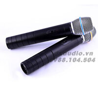 Micro Shure Beta 89C