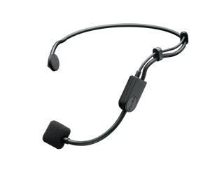 Micro Shure PGA31