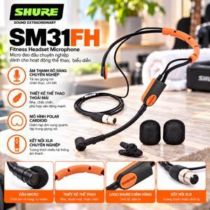 Micro Shure SM31FH