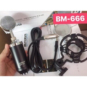 Micro thu âm Ami BM990
