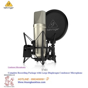 Micro thu âm Behringer TM1