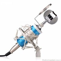 Micro thu âm BM-8000 dùng cho Máy tính, Điện thoại hát Karaoke chuyên nghiệp