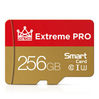Microdrive High Speed 256GB Memory Card Class 10 Micro SD Card Flash Card Smart Card for Phone Camera Driving Recorder