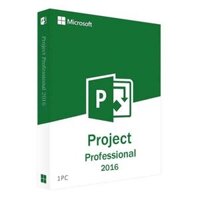 Microsoft Project Professional 2016 32/64-bit
