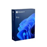 Microsoft Win Pro 11 64b All-LngPK Lic Online (FQC-10572)