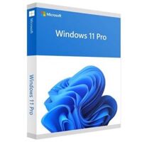 MICROSOFT Windows 11 Pro 64Bit Eng Intl 1pk DSP OEI DVD (FQC-QC-10528)