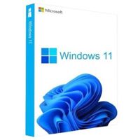 Microsoft Windows Home 11 64bit All Lng (KW9-00664)