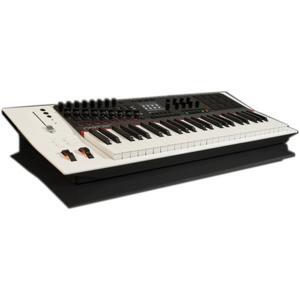 Midi Controller Nektar Panorama P4