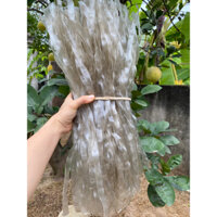 Miến  dong Điện  Biên sợi to .1kg