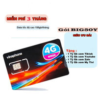 Miễn Phí 3 Tháng Sim 4G Vinaphone BIG50Y 5GB/Ngày - Tỷ GB Xem Youtube Tik Tok Zalo Gia Hạn chỉ 50k