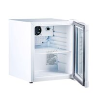 [MIỄN PHÍ GIAO LẮP] LC-50 - Tủ mát mini Alaska 50 lít LC-50 (Trắng)