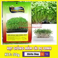 MIỄN SHIP ĐƠN TỪ 99K_ Hạt Giống Rau Mầm Cải Bẹ Xanh - KL50g - MCBX50GH