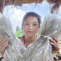 [Miến Sùng Bầu] - 5 kg miến dong sợi to + tặng 1 lọ chẳm chéo- Sùng Thị Bầu Food Thức Ăn