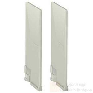 Miếng chắn pha MCCB Schneider EZEFASB2