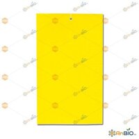 MIẾNG DÁN BẪY CÔN TRÙNG NÔNG NGHIỆP Block 50 cái - B1.1022