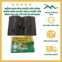 Miếng Dán Chuột Bình Đại Lợi, Keo Siêu Dính Diệt Chuột Hiệu Quả Không Cần Bẫy
