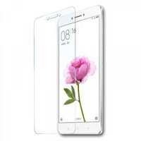 Miếng dán cường lực Xiaomi Mi Max