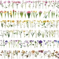 Miếng Dán Hoa Trong Suốt Chống Thấm Nước 100 Cái * 2 PET Thêu Sò Hoa Bộ Miếng Dán