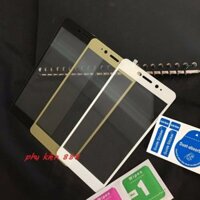 Miếng dán kính cường lực Coolpad Sky3 E502 Full màn Glass