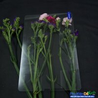 Miếng Dán Kính Cường Lực Samsung Tab S4 10.5 2018 T835 Giá Rẻ