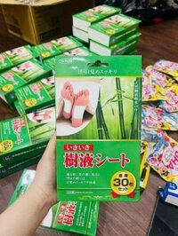 Miếng dán thải dộc - trị đau xương khớp -hộp 30 miếng