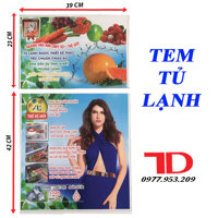 Miếng dán tủ lạnh nhiều mẫu - Nhiều màu