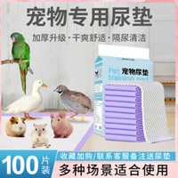 Miếng đệm nước tiểu cho thú cưng cho hamster, chuột lang, động vật gặm nhấm, chim cút, vẹt, vịt, tã đặc biệt