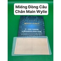 MIẾNG ĐỒNG CÂU CHÂN MAIN WYLIE