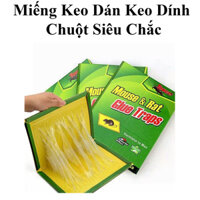 Miếng Keo Dán Keo Dính Chuột Siêu Chắc Siêu Dính