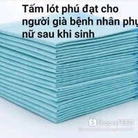 Miếng lót sau sinh cho mẹ, người già, bệnh nhân phú đạt, KAZAN bộ 60 tấm lót,size L /XL rộng 42_72cm siêu nhẹ, thấm hút