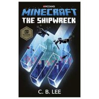 Minecraft The Shipwreck