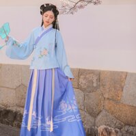 Ming-style Hanfu womens Chinese style original authentic plaid autumn and winter flowers Jiaolu daily student cross-necked skirt horse-face skirt